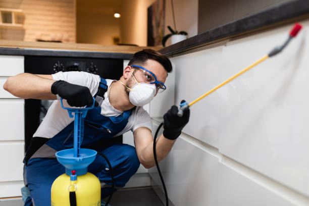Best Best Pest Control Companies  in Rector, AR