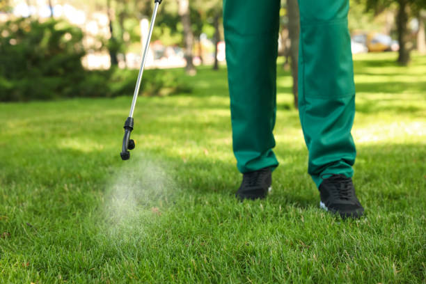 Best Residential Pest Control  in Rector, AR