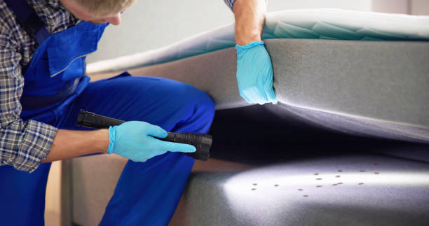 Best Cockroach Control Services  in Rector, AR