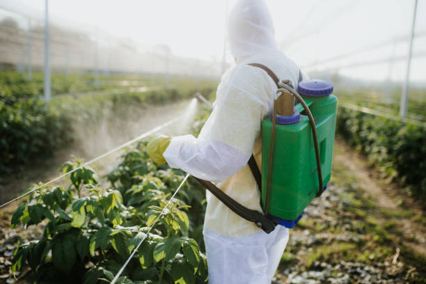 Pest Control for Restaurants in Rector, AR